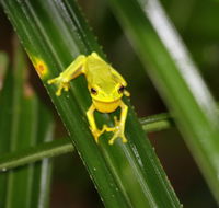 Daintree River Cruise Centre