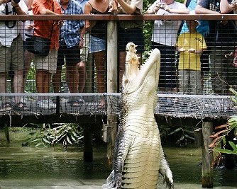 Wangetti QLD New South Wales Tourism 