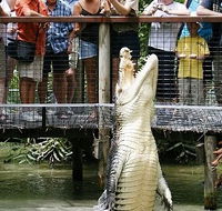 Hartley's Crocodile Adventures - New South Wales Tourism 