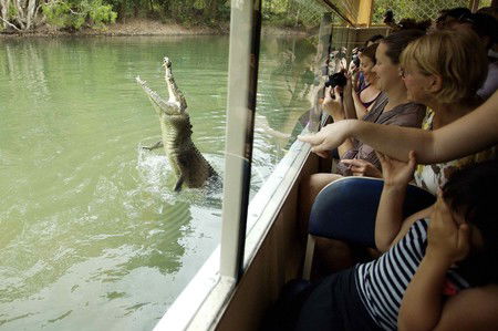 Hartley's Crocodile Adventures - New South Wales Tourism  9