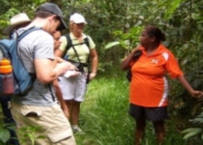 Ingan Tours - Spirit Of The Rainforest Tour - New South Wales Tourism  0