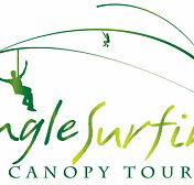 Jungle Surfing Canopy Tours and Jungle Adventures Nightwalks - New South Wales Tourism 
