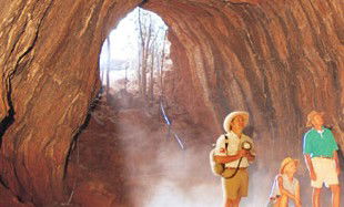 Undara Experience - New South Wales Tourism  3