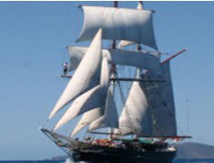 Adventure Catamarans Dive And Sail - New South Wales Tourism  0