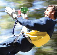 Adventure Parc - New South Wales Tourism 