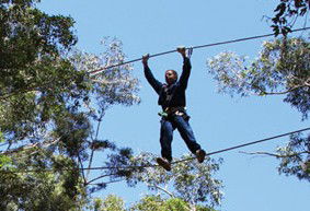 Adventure Parc - New South Wales Tourism  2
