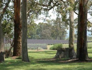 Broadwater QLD New South Wales Tourism 
