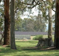 Aloomba Lavender - New South Wales Tourism 