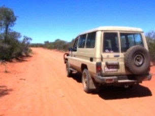 Araucaria Ecotours - New South Wales Tourism  2