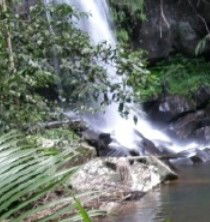 Araucaria Ecotours - New South Wales Tourism  4