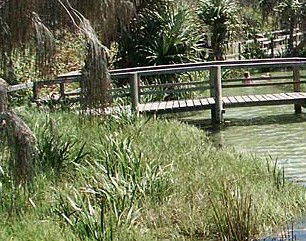 Australia Fraser Island Escape - New South Wales Tourism  1