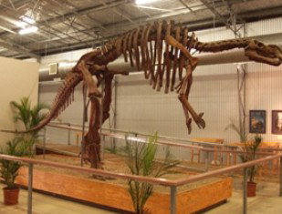 Winton QLD New South Wales Tourism 