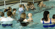 Aqualife Centre - New South Wales Tourism  1