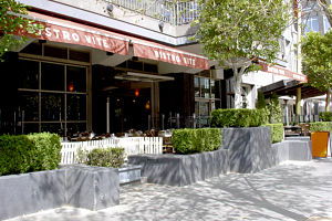 Bistro Vite - New South Wales Tourism  0
