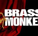 The Brass Monkey - New South Wales Tourism 