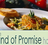 Land of Promise Hotel - New South Wales Tourism 