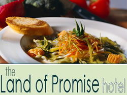 Land Of Promise Hotel - New South Wales Tourism  0