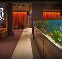AB Hotel - New South Wales Tourism 