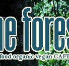 Forest Cafe  Bar - New South Wales Tourism 