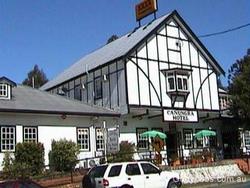 Lamington National Park QLD New South Wales Tourism 