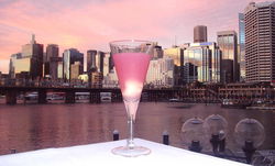 Cohibar - New South Wales Tourism  0