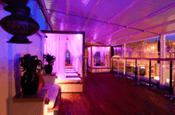 Circus Bar  Night Club - New South Wales Tourism 