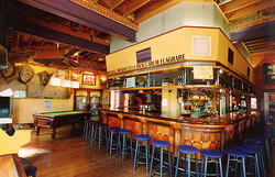 Earl Of Leicester Hotel - New South Wales Tourism  1