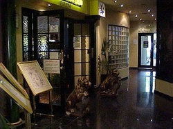 Talbot Hotel - New South Wales Tourism  1