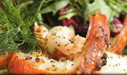 Fishermans Wharf Tavern - New South Wales Tourism  1