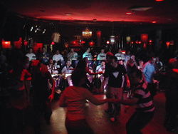 The Night Cat - New South Wales Tourism  1