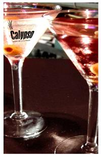 Calypso Bar And Lounge - New South Wales Tourism  1