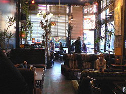 Blackcat - New South Wales Tourism  1