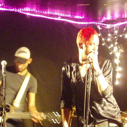 The Brass Monkey - New South Wales Tourism  1