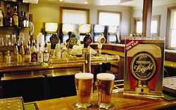 Regatta Bar - Log Cabin - New South Wales Tourism  1