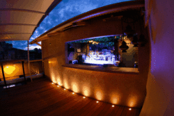 Circus Bar & Night Club - New South Wales Tourism  1