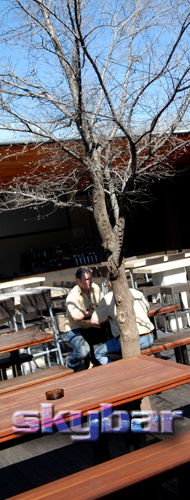 Alma Tavern - New South Wales Tourism  2