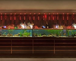 AB Hotel - New South Wales Tourism  2