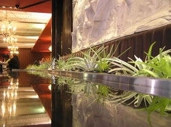 Terra Rossa - New South Wales Tourism  2