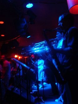 The Night Cat - New South Wales Tourism  2