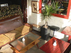 Blackcat - New South Wales Tourism  2