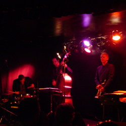 The Brass Monkey - New South Wales Tourism  2