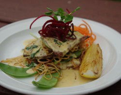 Bird In Hand Inn - New South Wales Tourism  2