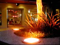 Morphett Arms Hotel - New South Wales Tourism  2