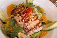 Holdfast Hotel - New South Wales Tourism  3
