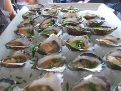 The Metropol - New South Wales Tourism  3