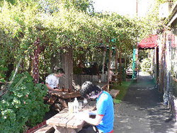 Blackcat - New South Wales Tourism  3