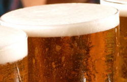 Knox Tavern - New South Wales Tourism  1