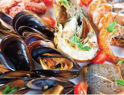 Pelagos Greek Tavern - New South Wales Tourism  2