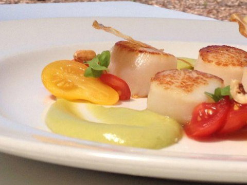 Oliveto Ristorante & Bar - New South Wales Tourism  0