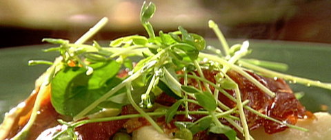 Wild Hearts Cafe Restaurant - New South Wales Tourism  0